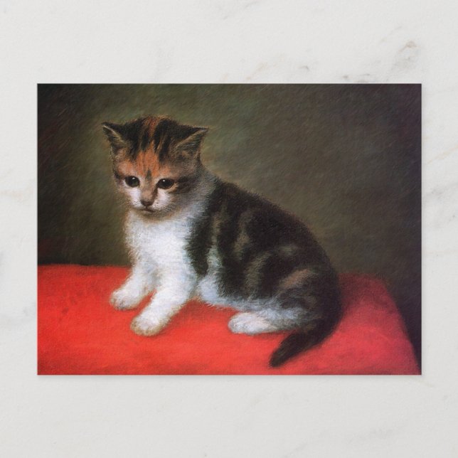 Kitty Cat Postcard: Kitten von George Stubbs Postkarte (Vorderseite)