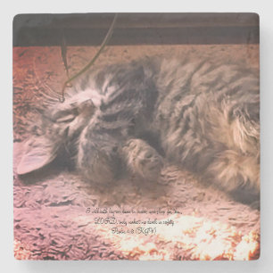 Kitty Cat Psalm 4:8 Steinuntersetzer
