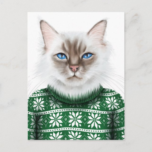 Kitty Cat Sweater Postkarte (Vorderseite)