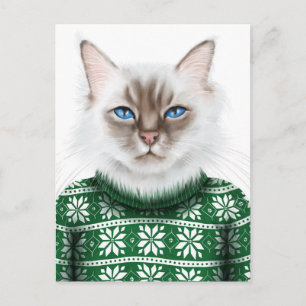 Kitty Cat Sweater Postkarte