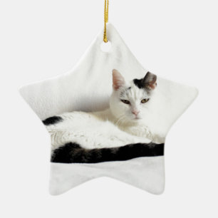 Kitty Cat, White und Black Cat Relaxen Keramikornament