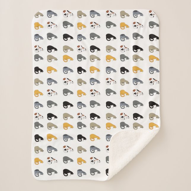 Kitty Cats Bowl Sherpadecke (Vorderseite)