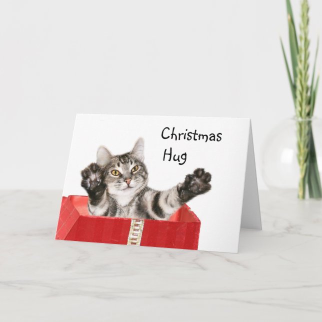 Kitty Christmas hug Feiertagskarte (Vorderseite)