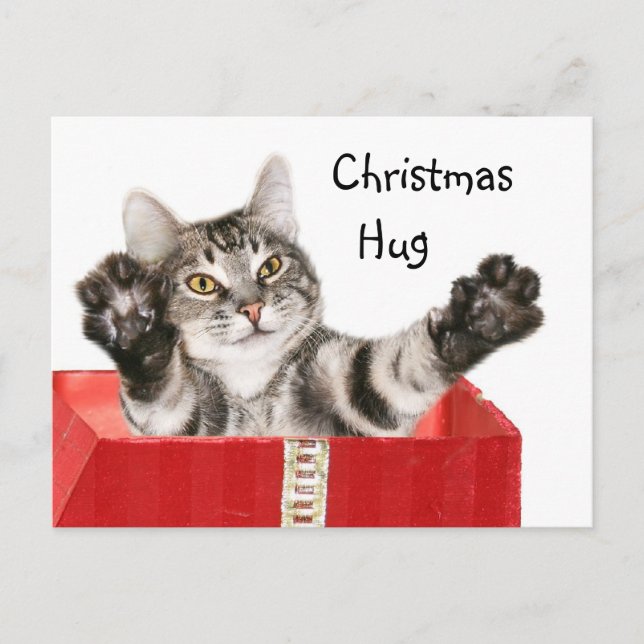 Kitty Christmas hug Feiertagspostkarte (Vorderseite)