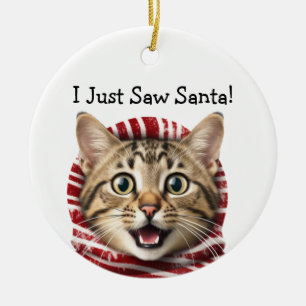 Kitty Christmas Spaß Cat Ornament