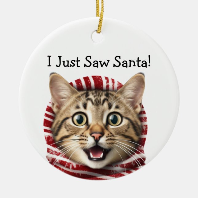 Kitty Christmas Spaß Cat Ornament (Vorne)
