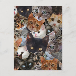 Kitty Collage Postkarte