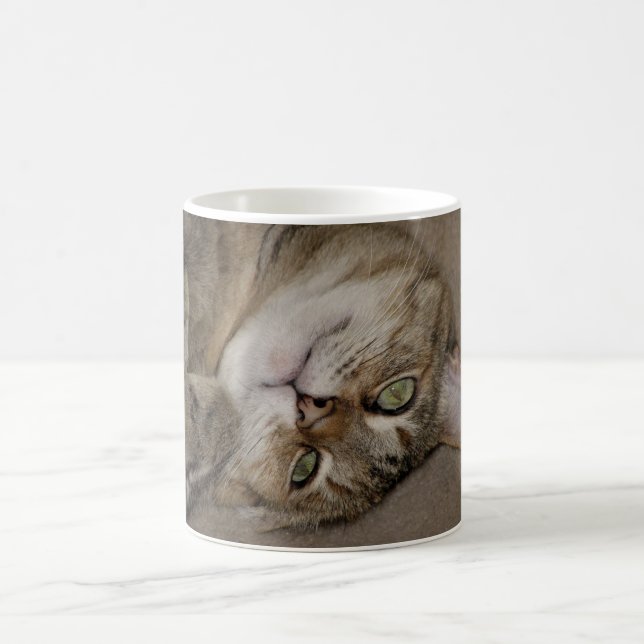 Kitty Cute Tasse (Mittel)