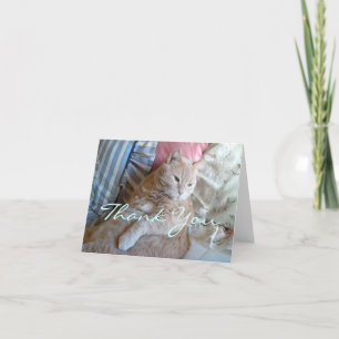 Kitty Danky Card Dankeskarte