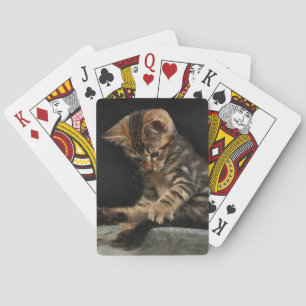 Kitty, der mit dem Schwanz spielt Spielkarten