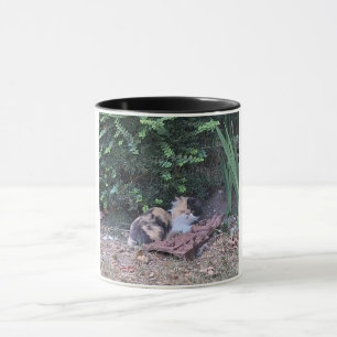 Kitty-Dschungel Tasse