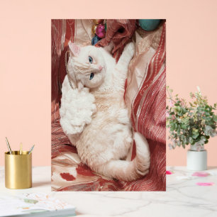 Kitty Engel Acrylschild