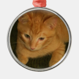 Kitty Fotografy Ornament Aus Metall