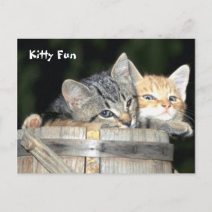 Kitty Fun Postkarte