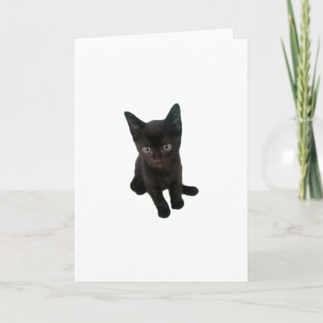 ~Kitty~ GREETING CARD, KÜMMERN SIE ES! Karte (Vorderseite)