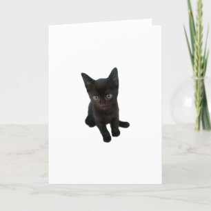 ~Kitty~ GREETING CARD, KÜMMERN SIE ES! Karte