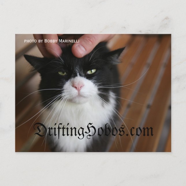 Kitty Hobo Postkarte (Vorderseite)