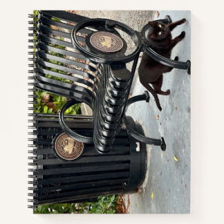 Kitty im Park Notizbuch