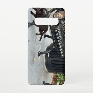 Kitty im Park Samsung Galaxy S10 Hülle