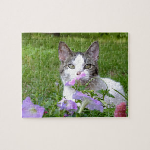 Kitty im Petunias-Puzzle Puzzle