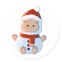 Kitty in Snow Outfit