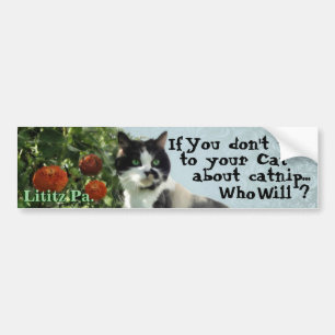 Kitty Inspirations Bumper Sticker Autoaufkleber