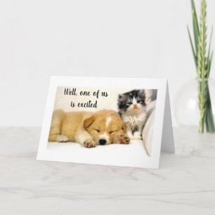 **KITTY** IST FREUDIG ZU IHREM **80. GEBURTSTAG** KARTE