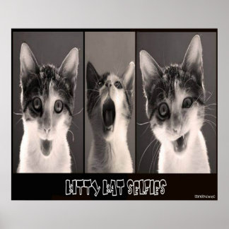 Kitty Kat Selfelt Poster