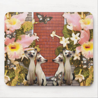 Kitty kats Liebe-Blumen Mousepad