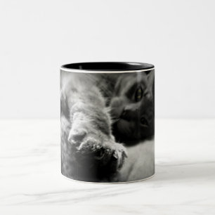 Kitty-Katzen-Foto Zweifarbige Tasse