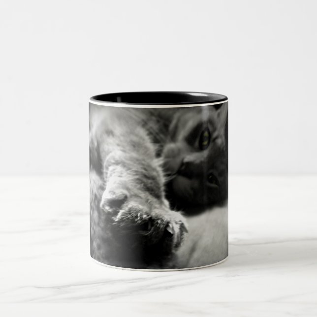 Kitty-Katzen-Foto Zweifarbige Tasse (Mittel)