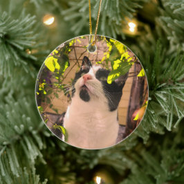Kitty Keramik Ornament