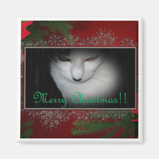 Kitty Liebhaber Weihnachten !! Magnet