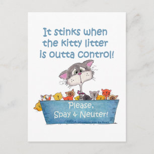 Kitty Litter Stinks Postkarte