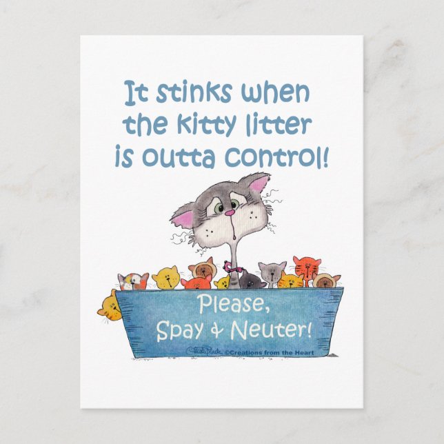 Kitty Litter Stinks Postkarte (Vorderseite)
