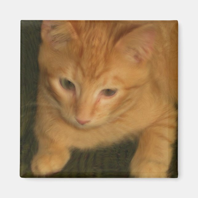 Kitty Magnet (Vorne)