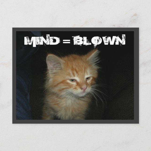 Kitty "MIND = BLOWN" Postkarte (Vorderseite)