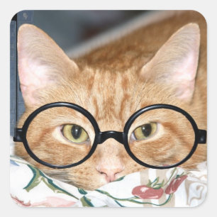 Kitty mit Brille Quadratischer Aufkleber