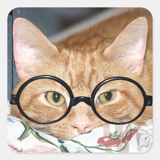 Kitty mit Brille Quadratischer Aufkleber (Vorderseite)