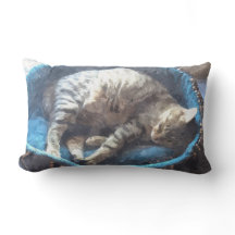 Kitty nimmt ein Nickerchen, Tabby Tiger Cat Schlaf