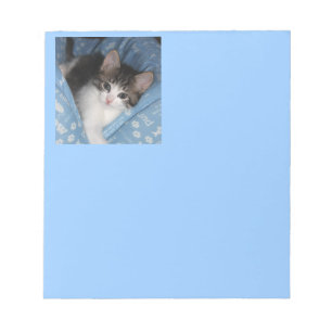 Kitty on Blue Notizblock