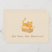 Kitty on Move Cat Moving