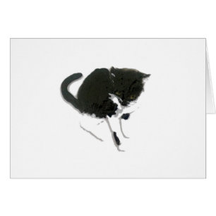 Kitty Painting Black and White Cat