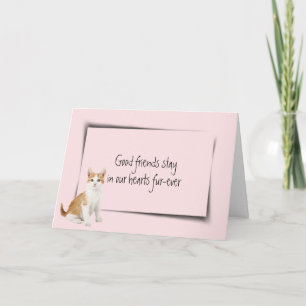 Kitty Pet Loss Beileid auf Pink Karte