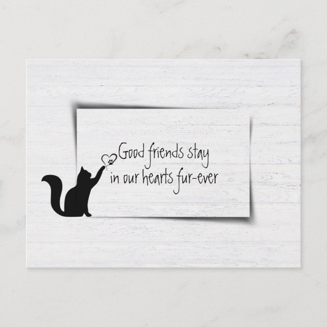 Kitty Pet Loss Beileid von Veterinär Postkarte (Vorderseite)