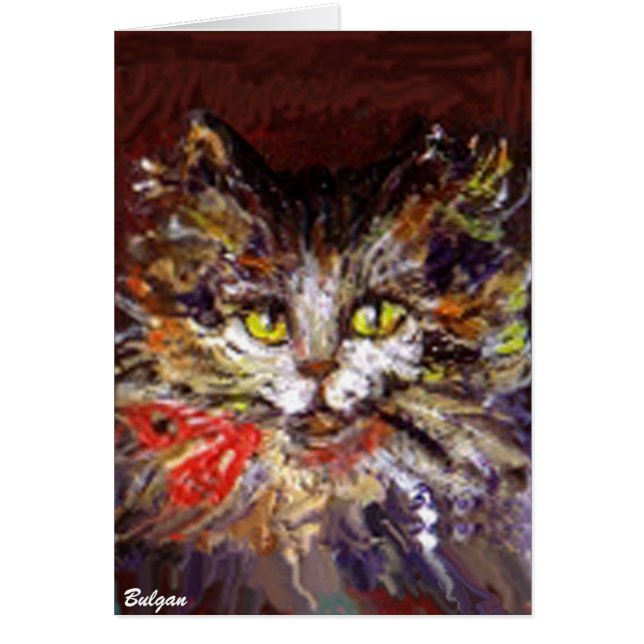 KITTY PORTRAIT (Vorne)