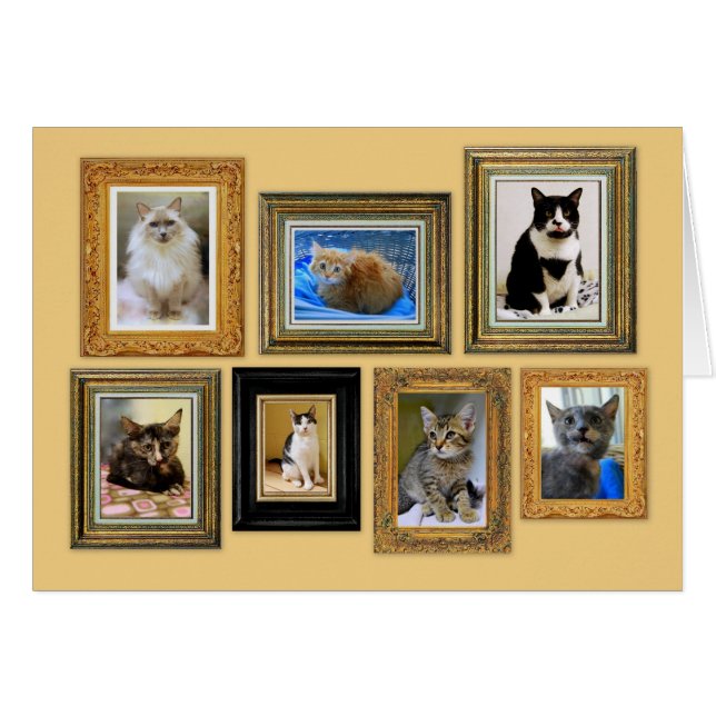 Kitty Portrait Gallery Card (Vorderseite (Horizontal))