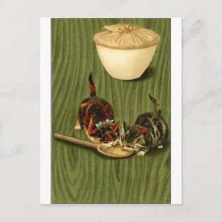 Kitty Postkarte