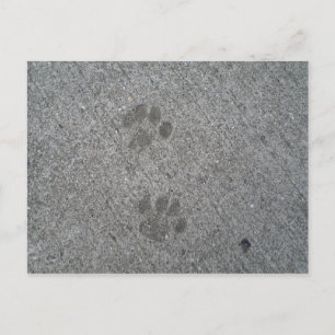 Kitty Prints Postkarte