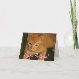 Kitty 'PURFECT DAY' Birthday Card Karte